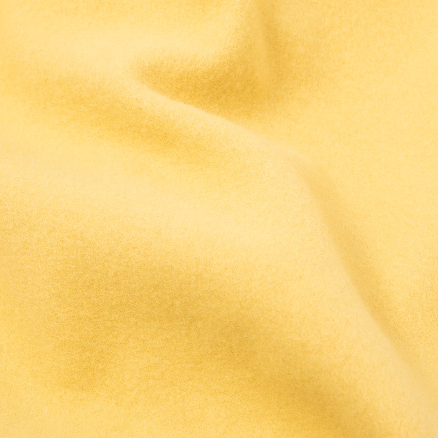 HUF (ハフ) Worldwide JP /HOODIES(パーカー)/ REGIONAL HOODIE商品 / CITRUS