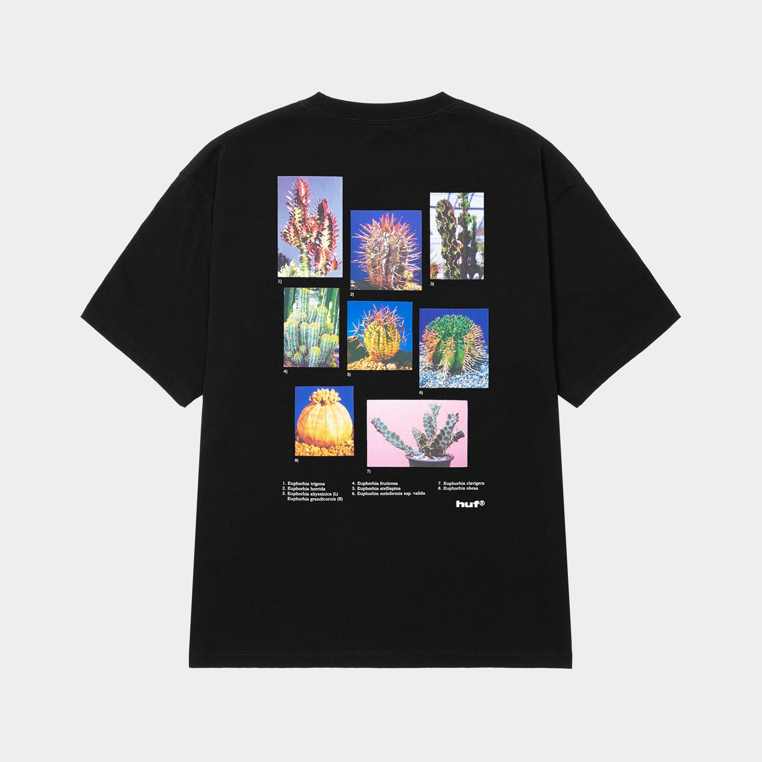 HUF (ハフ) Worldwide JP /T-SHIRTS(Tシャツ)/ IEIC GRAPHIC TEE商品 / WHITE