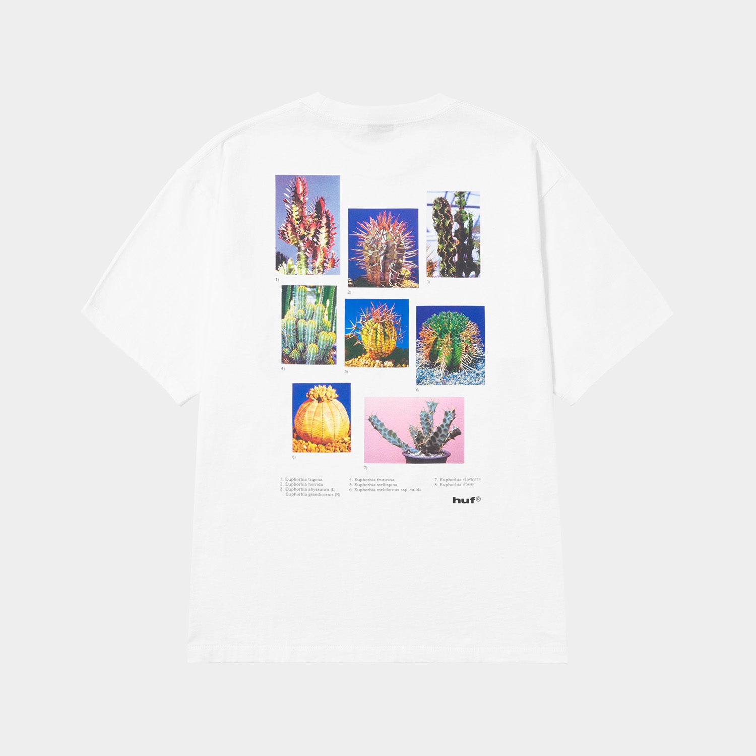 HUF (ハフ) Worldwide JP /T-SHIRTS(Tシャツ)/ IEIC GRAPHIC TEE商品 / WHITE