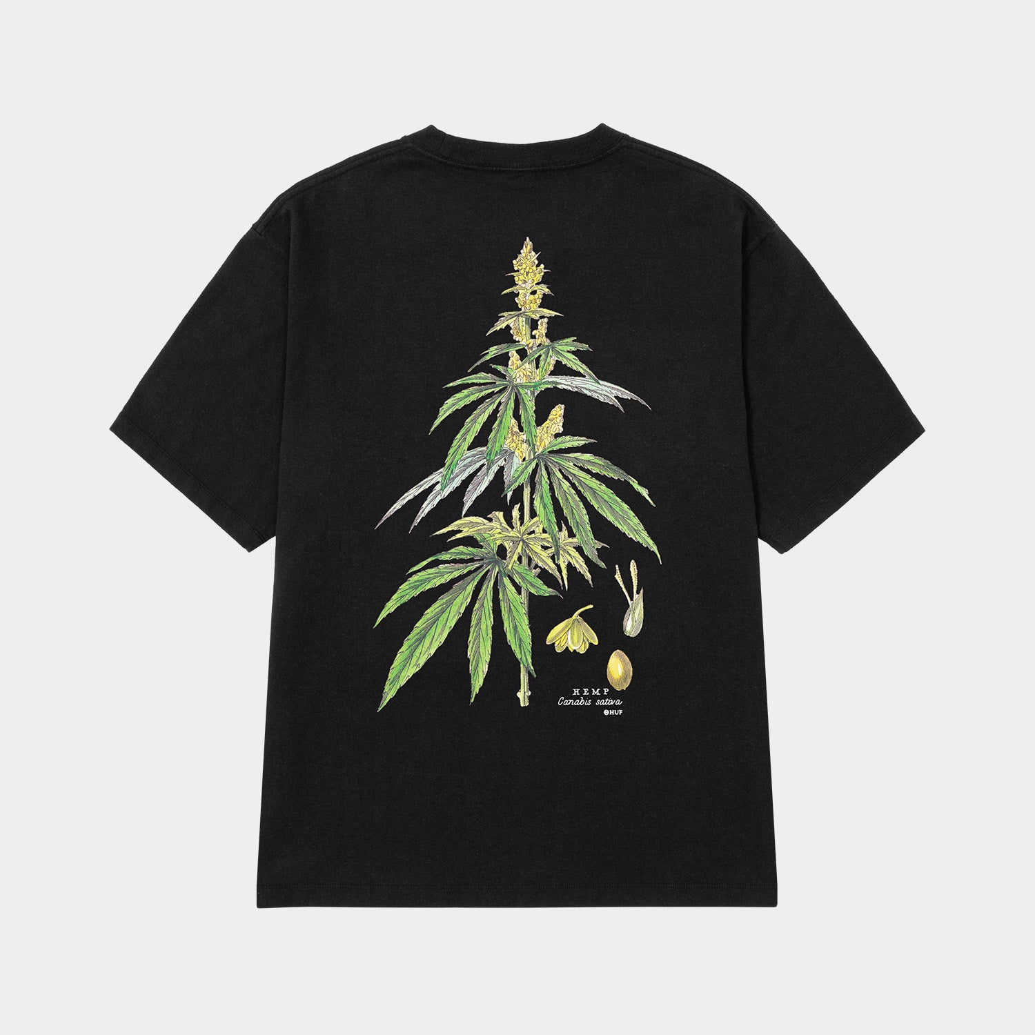 HUF (ハフ) Worldwide JP /T-SHIRTS(Tシャツ)/ huf CO-OP ARBORETUM TEE商品 / BLACK