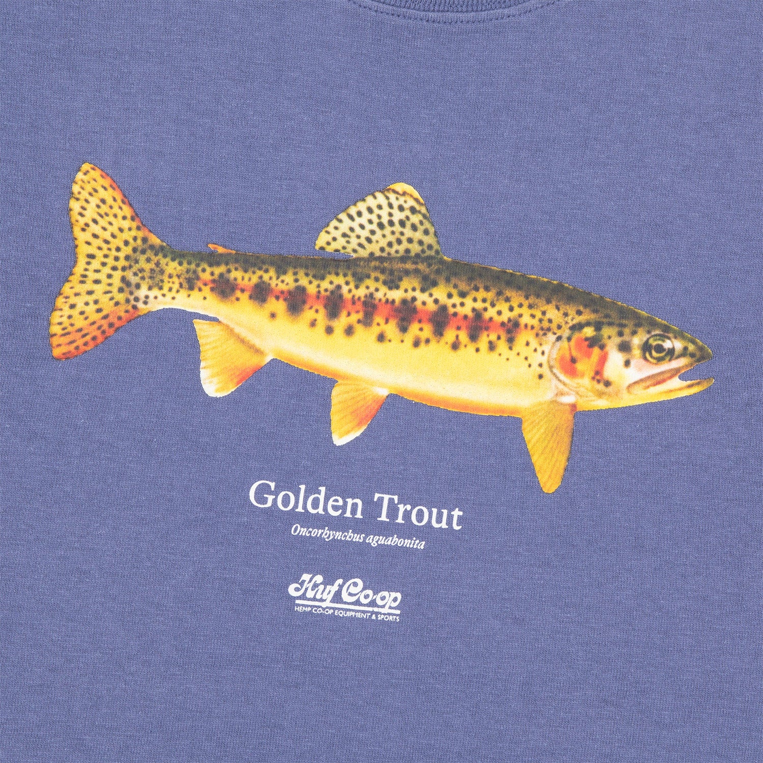 HUF (ハフ) Worldwide JP /T-SHIRTS(Tシャツ)/ huf CO-OP GOLDEN TROUT TEE商品 / NATURAL