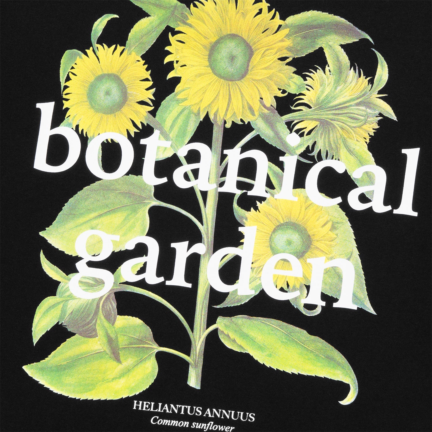 HUF (ハフ) Worldwide JP /T-SHIRTS（Tシャツ）/ SUNFLOWER TEE商品 / WHITE