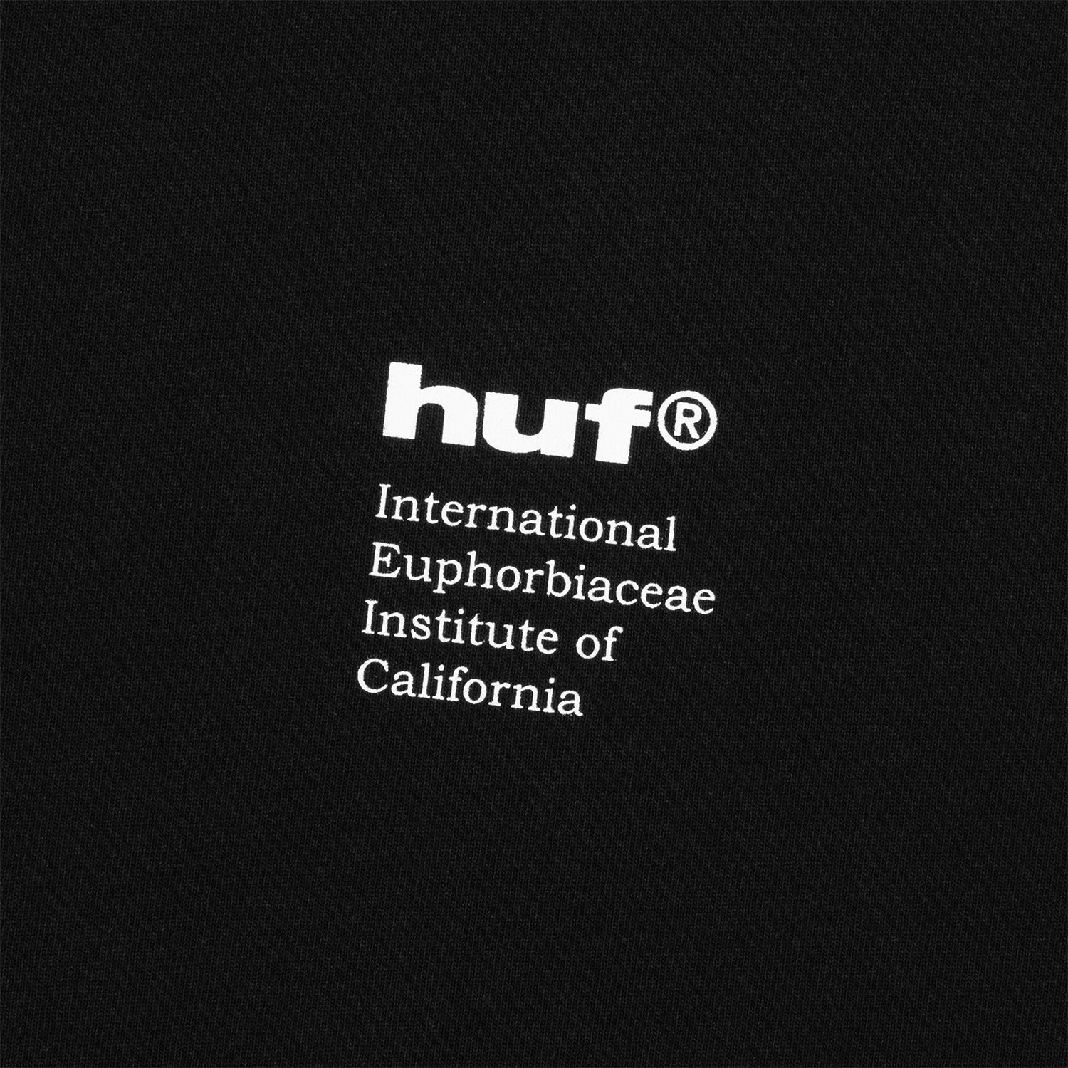 HUF (ハフ) Worldwide JP /T-SHIRTS（Tシャツ）/ IEIC GRAPHIC TEE商品 / WHITE