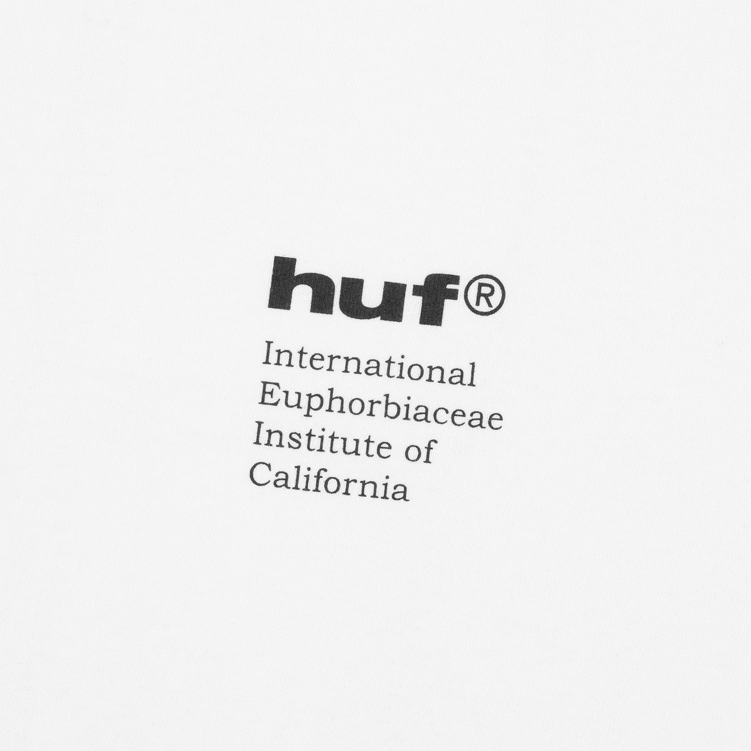 HUF (ハフ) Worldwide JP /T-SHIRTS（Tシャツ）/ IEIC GRAPHIC TEE商品 / WHITE
