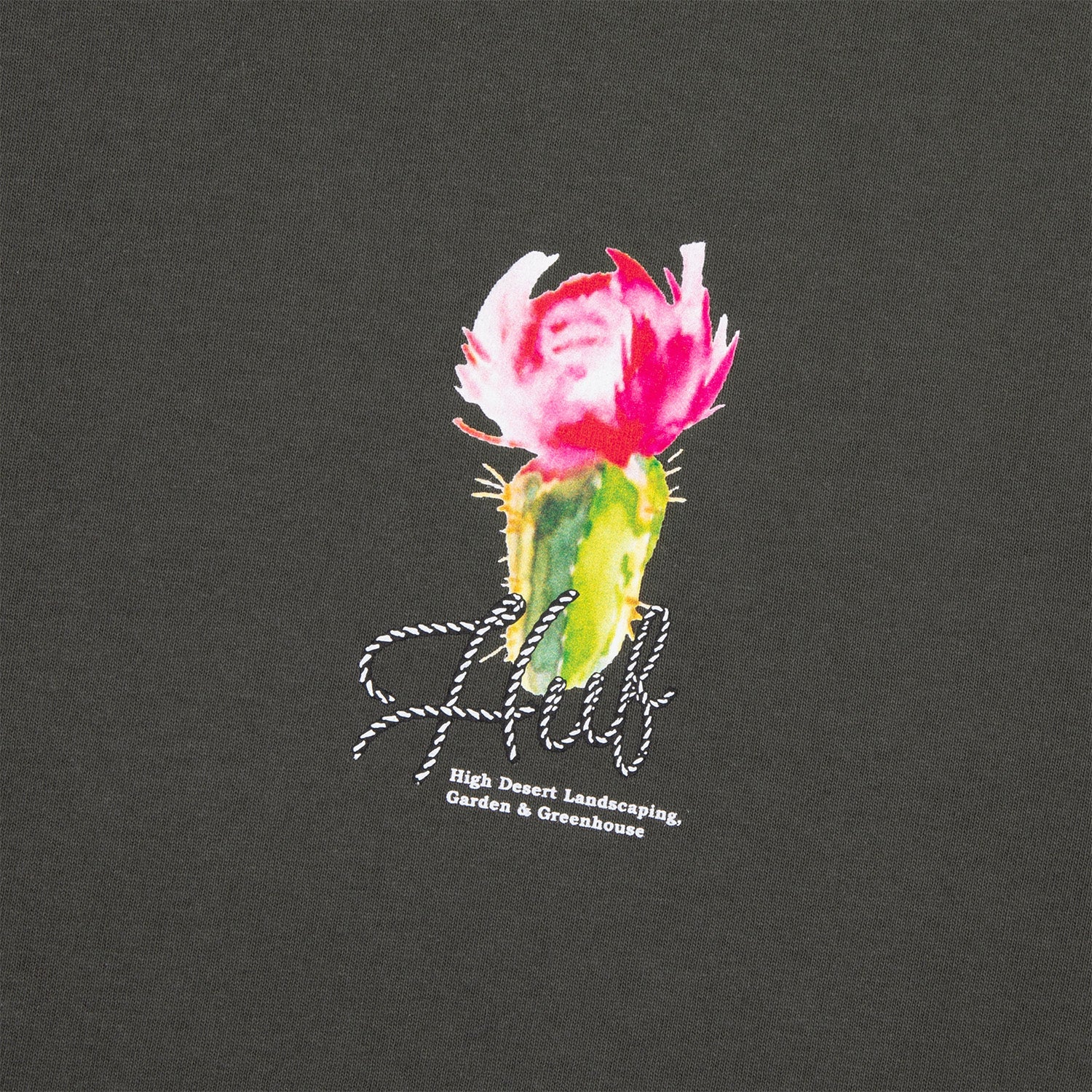 HUF (ハフ) Worldwide JP /T-SHIRTS（Tシャツ）/ DESERT ROSE LS TEE商品 / CHARCOAL