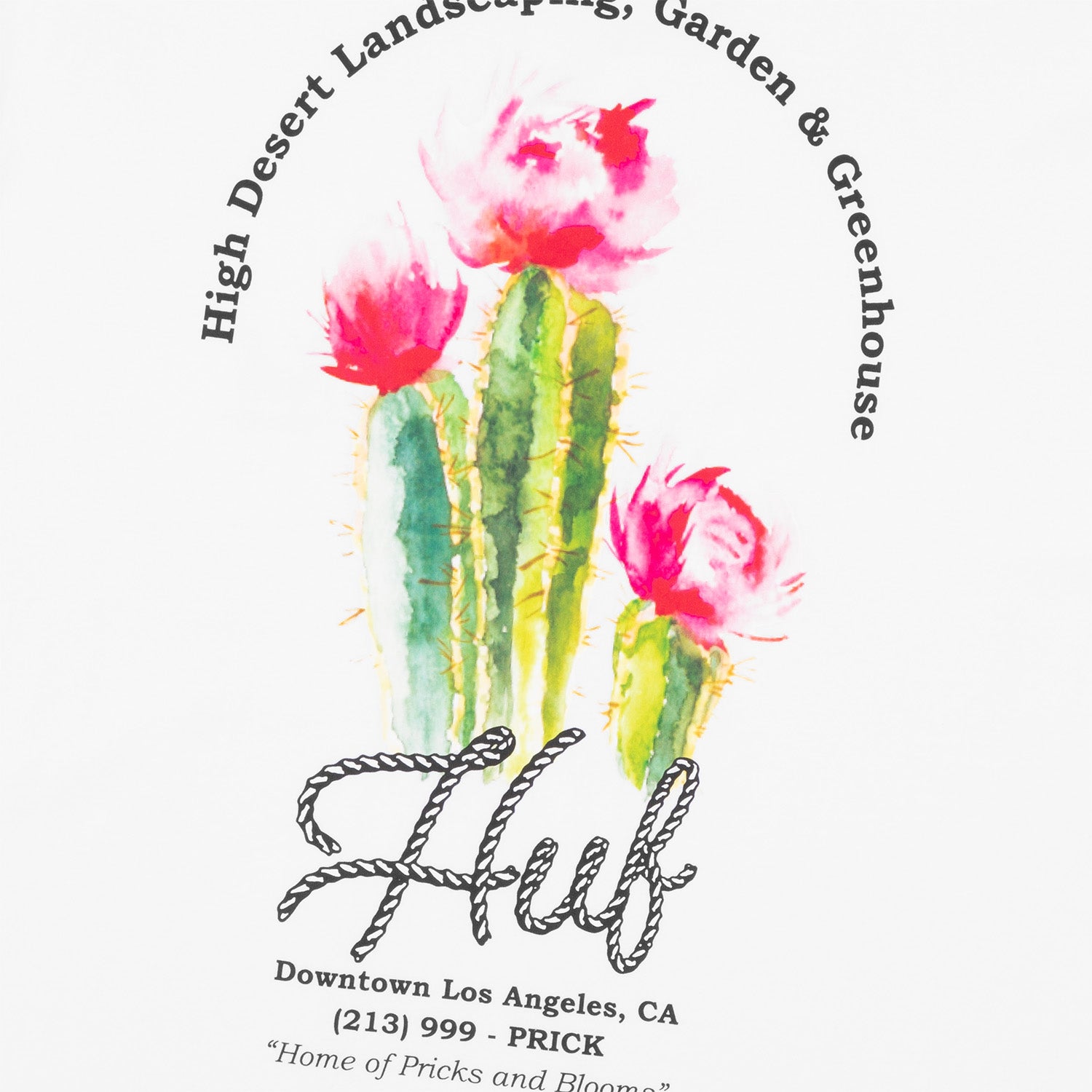 HUF (ハフ) Worldwide JP /T-SHIRTS（Tシャツ）/ DESERT ROSE LS TEE商品 / CHARCOAL