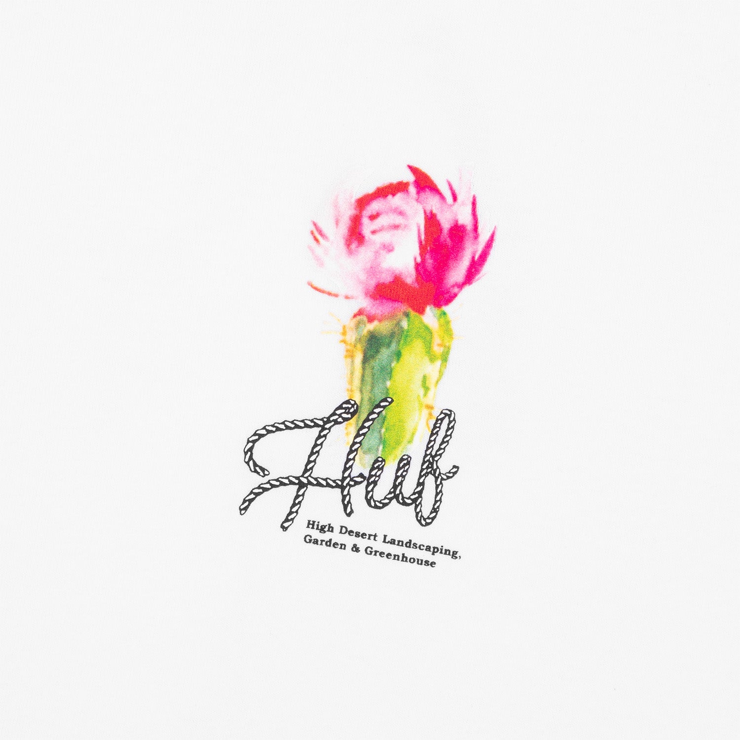 HUF (ハフ) Worldwide JP /T-SHIRTS（Tシャツ）/ DESERT ROSE LS TEE商品 / CHARCOAL