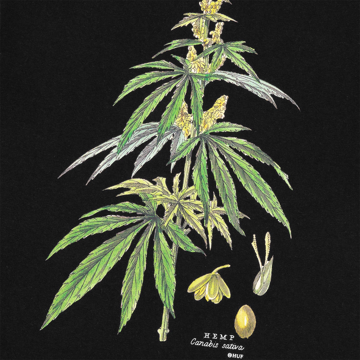 HUF (ハフ) Worldwide JP /T-SHIRTS（Tシャツ）/ huf CO-OP ARBORETUM TEE商品 / BLACK