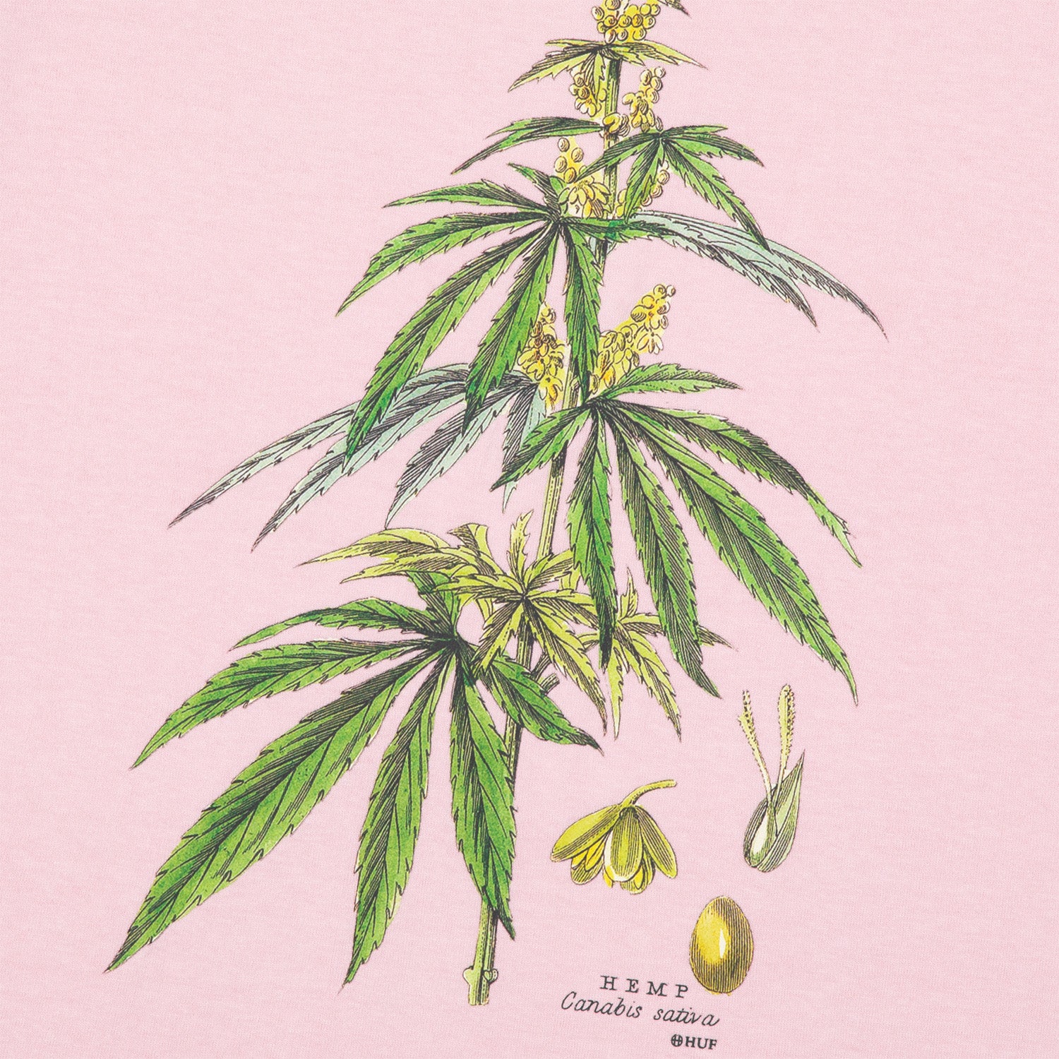 HUF (ハフ) Worldwide JP /T-SHIRTS（Tシャツ）/ huf CO-OP ARBORETUM TEE商品 / BLACK