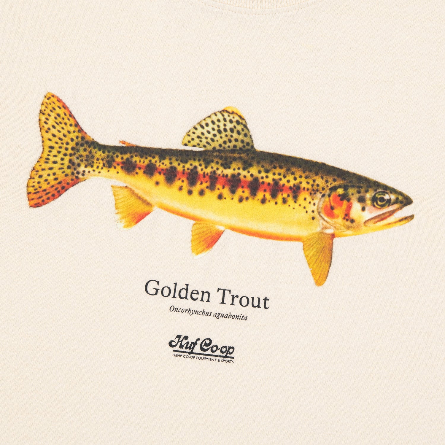 HUF (ハフ) Worldwide JP /T-SHIRTS（Tシャツ）/ huf CO-OP GOLDEN TROUT TEE商品 / NATURAL